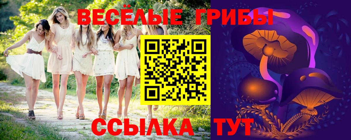 Галлюциногенные грибы Psilocybine cubensis  Псилоцибиновые грибы Psilocybine cubensis  Реутов  Вход с VPN 